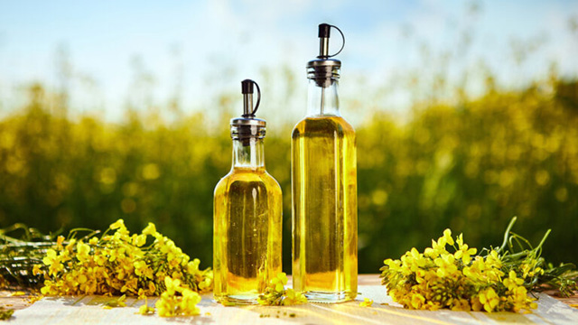 Rapeseed Oil